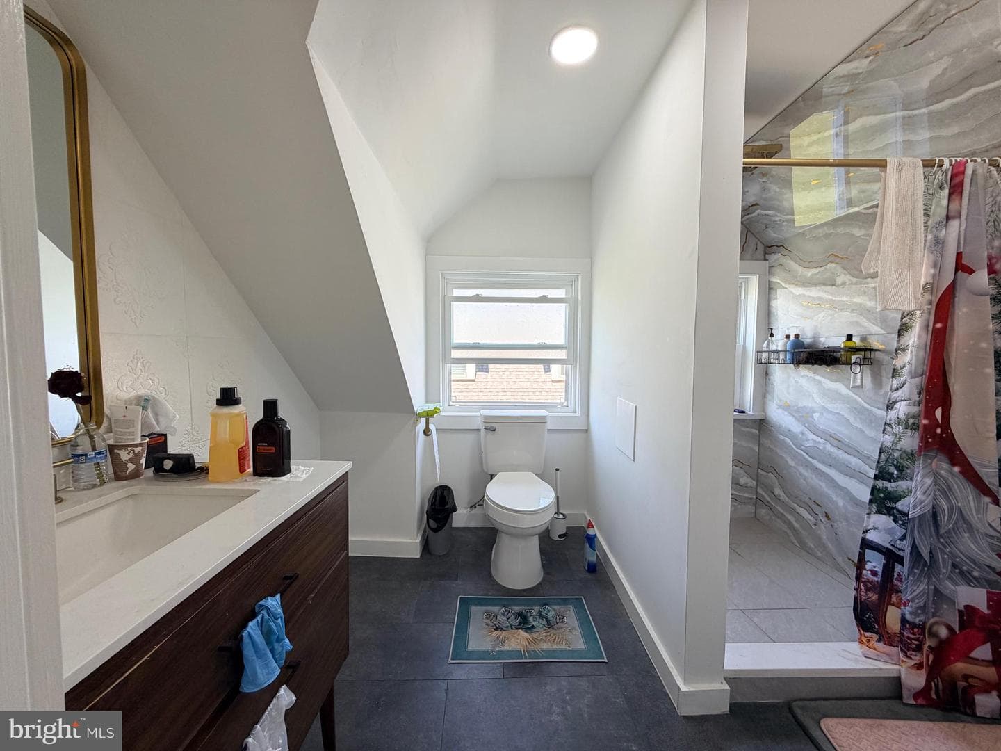 123 Bryn Mawr Avenue photo 48