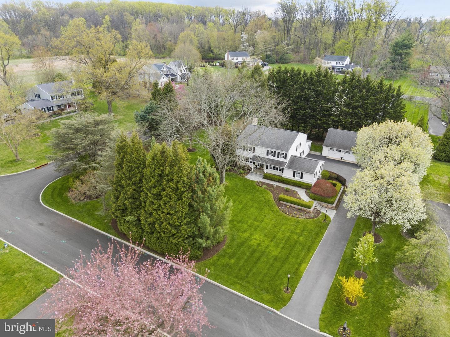 558 Beale Road photo 4