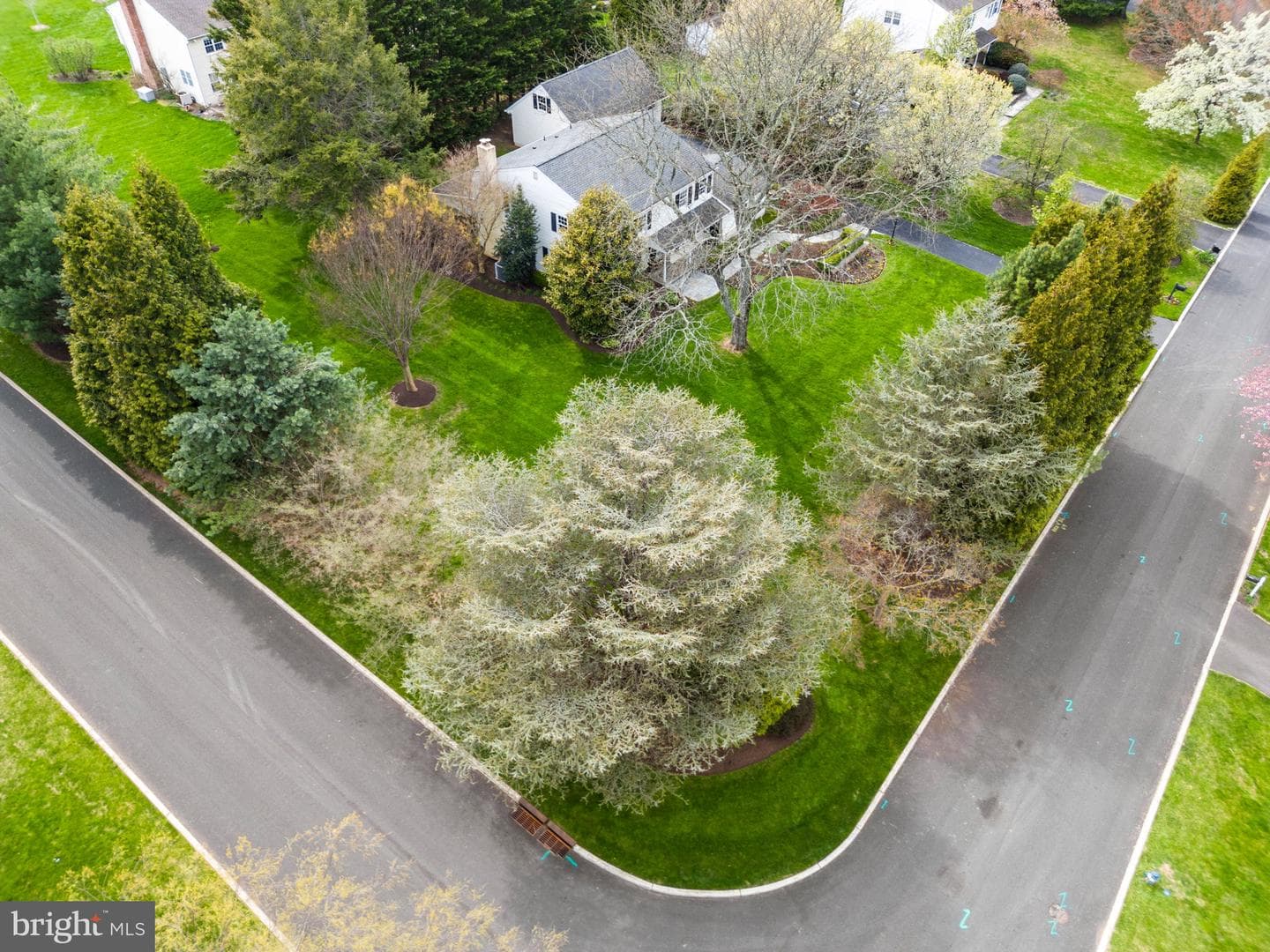 558 Beale Road photo 5