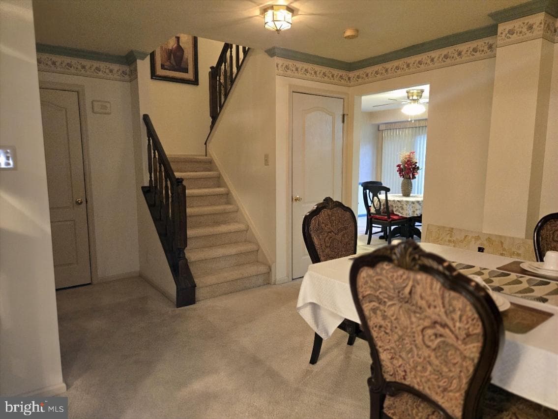 373 Carmen Drive photo 5