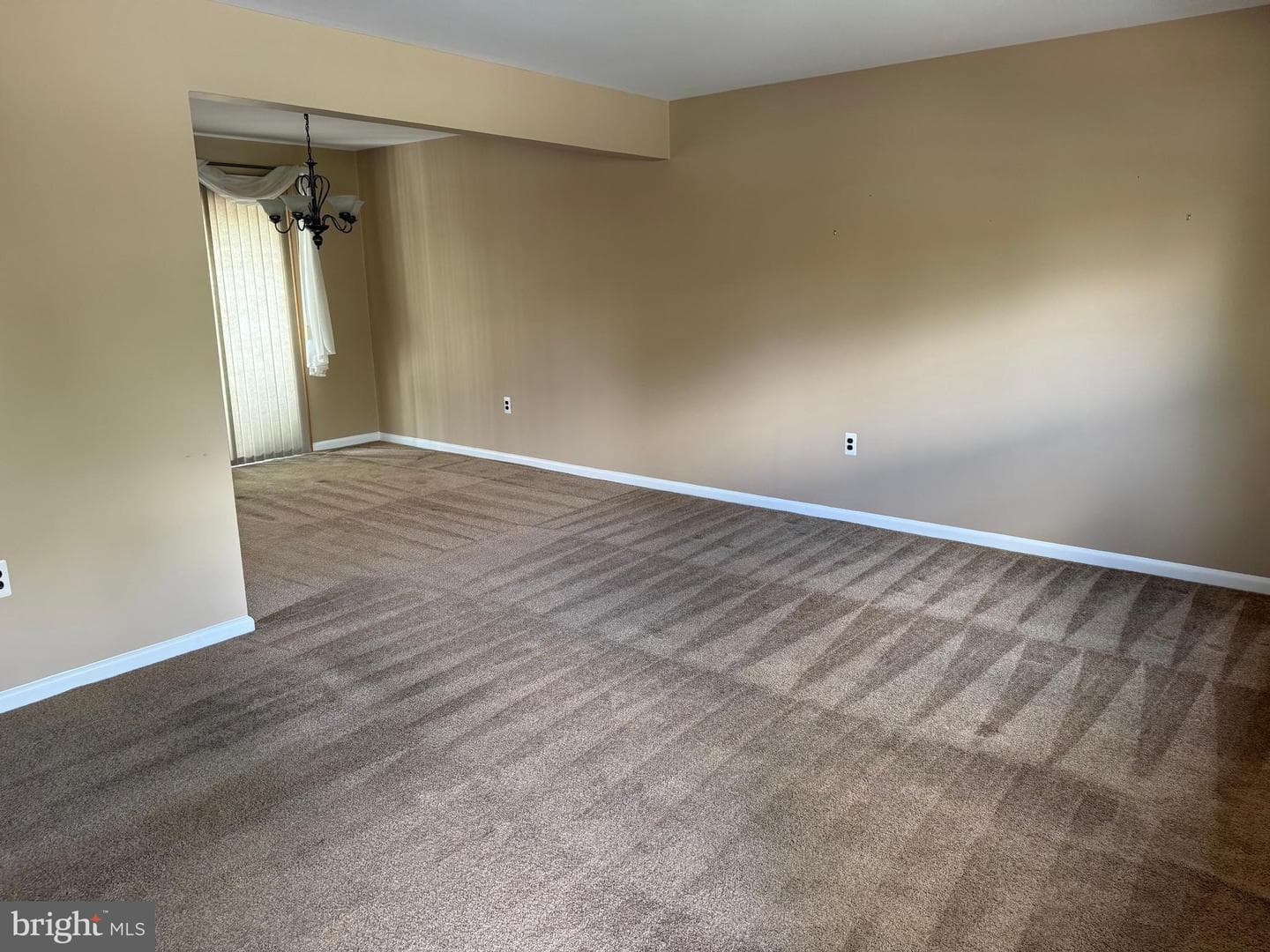 166 Panepinto Drive photo 15