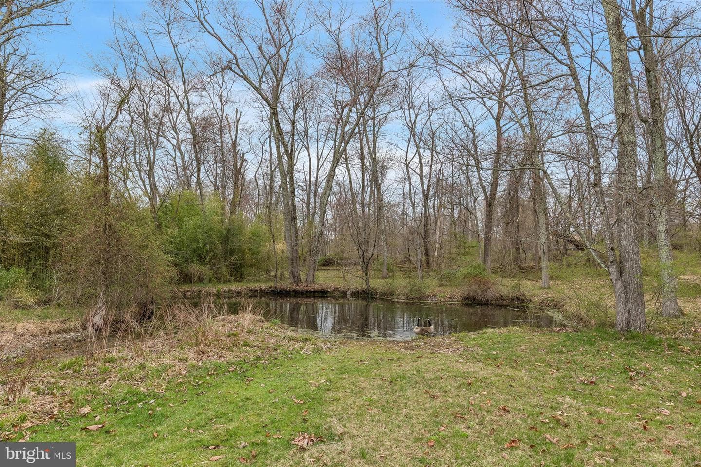 1240 Stump Road photo 41