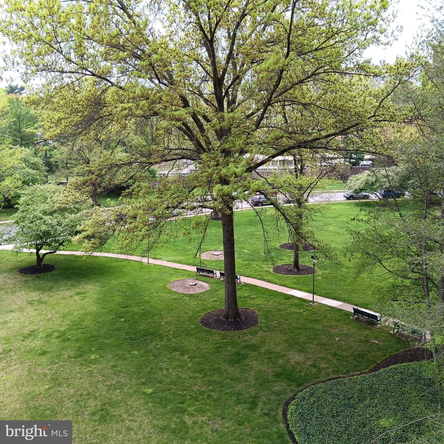 1001 City Avenue #E-431 photo 32
