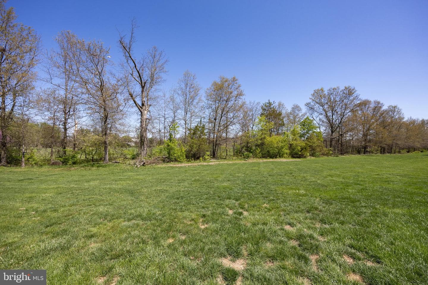 135 Sandpiper Court photo 25