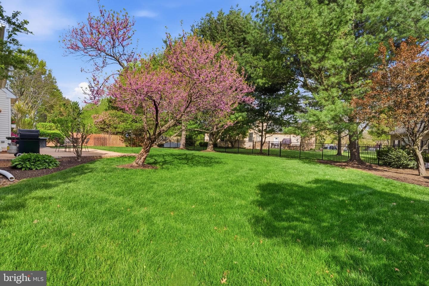 242 Vaughn Road photo 27