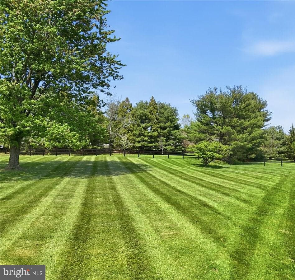 175 Waverly Ln photo 9