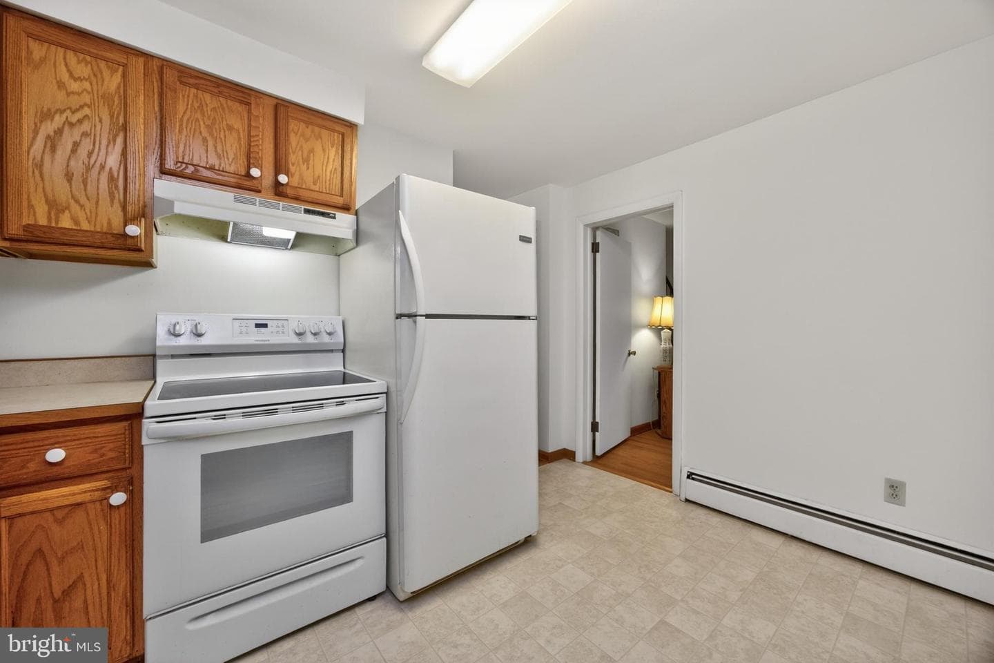 234 W Chestnut Street photo 3