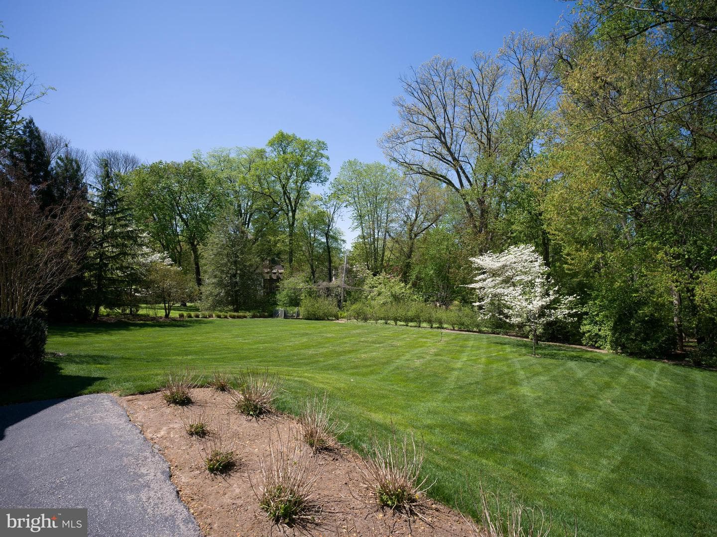454 Moreno Road photo 41