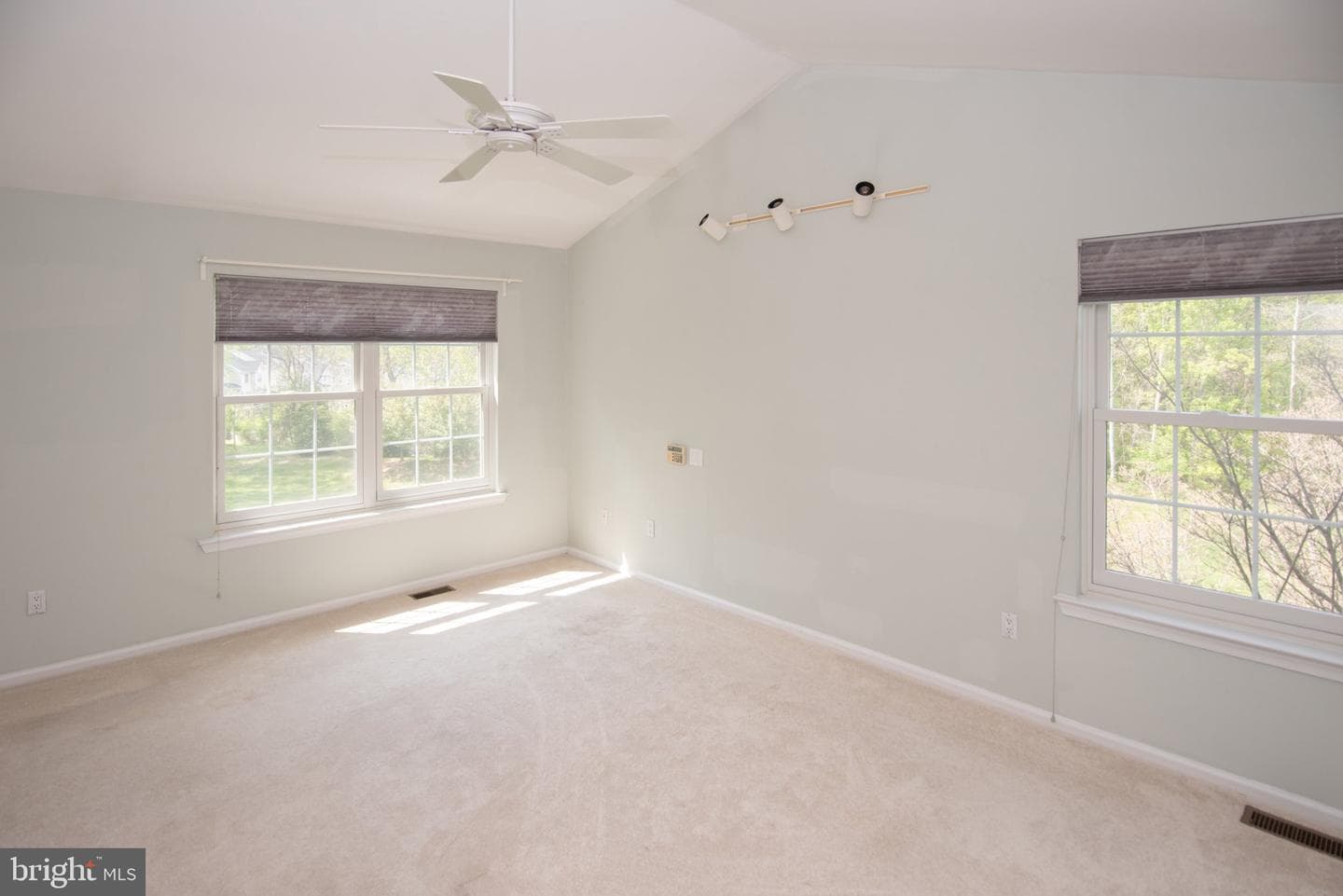 19 Viburnum Court photo 26
