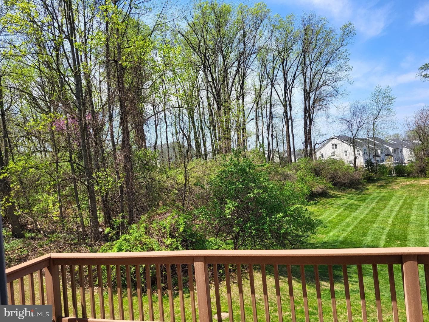 19 Viburnum Court photo 3