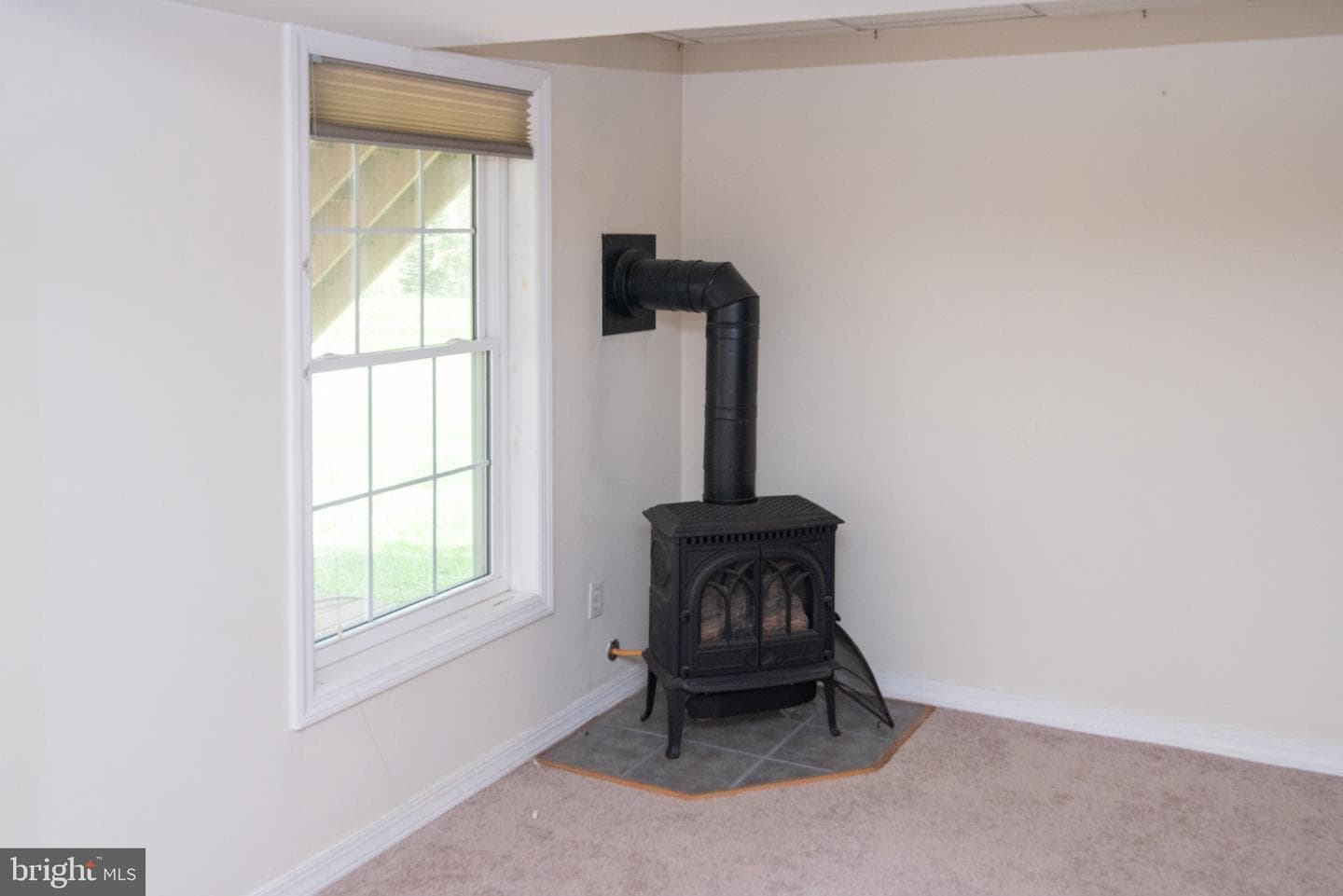 19 Viburnum Court photo 50