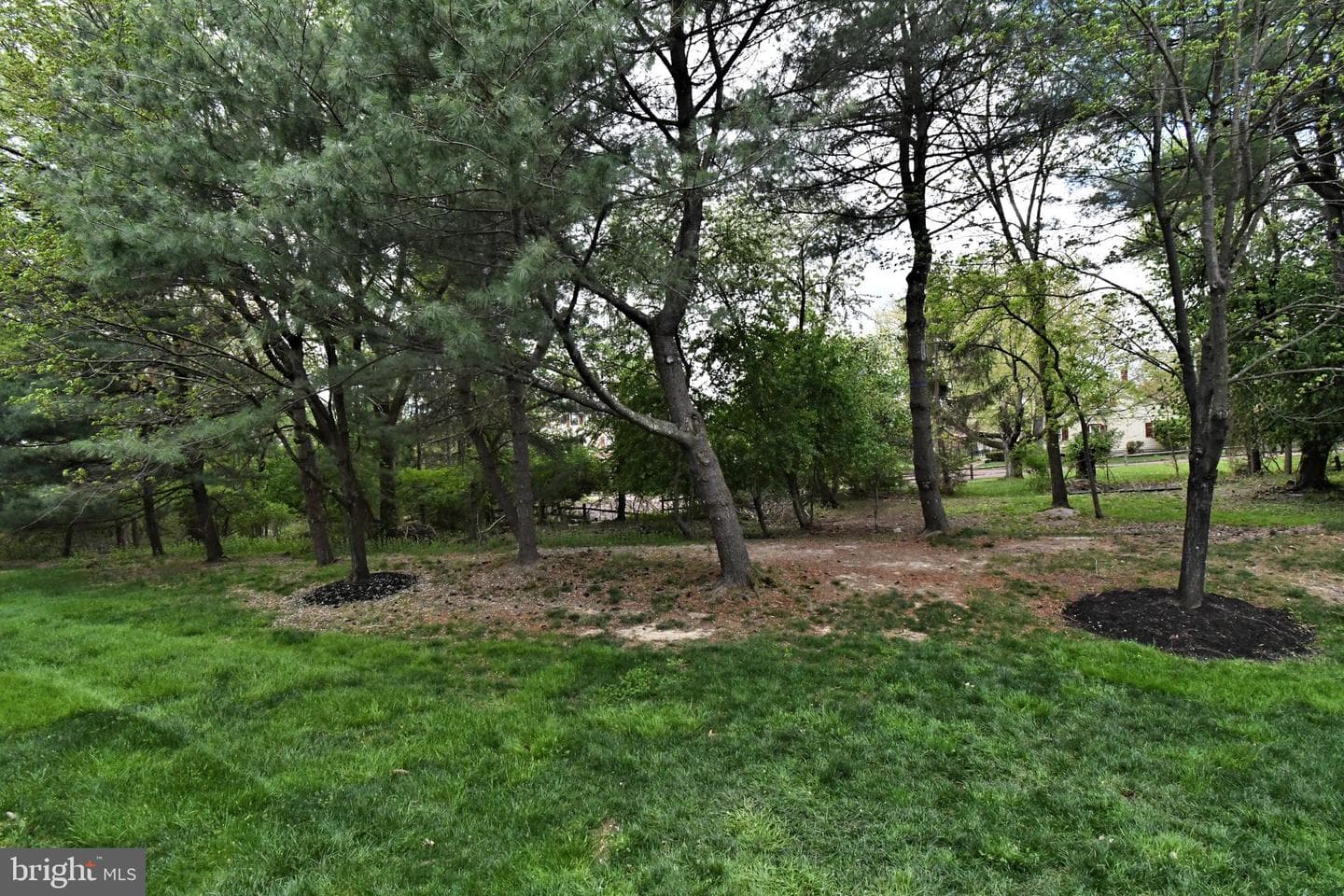 176 Filly Drive photo 51