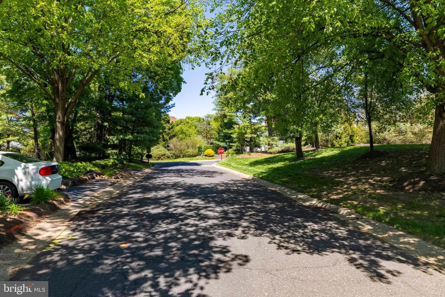 11 Red Oak Drive photo 3