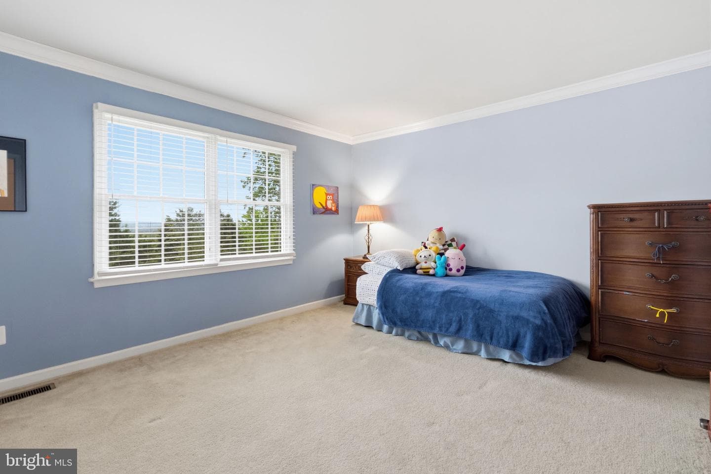 2806 Nighthawk Circle photo 31