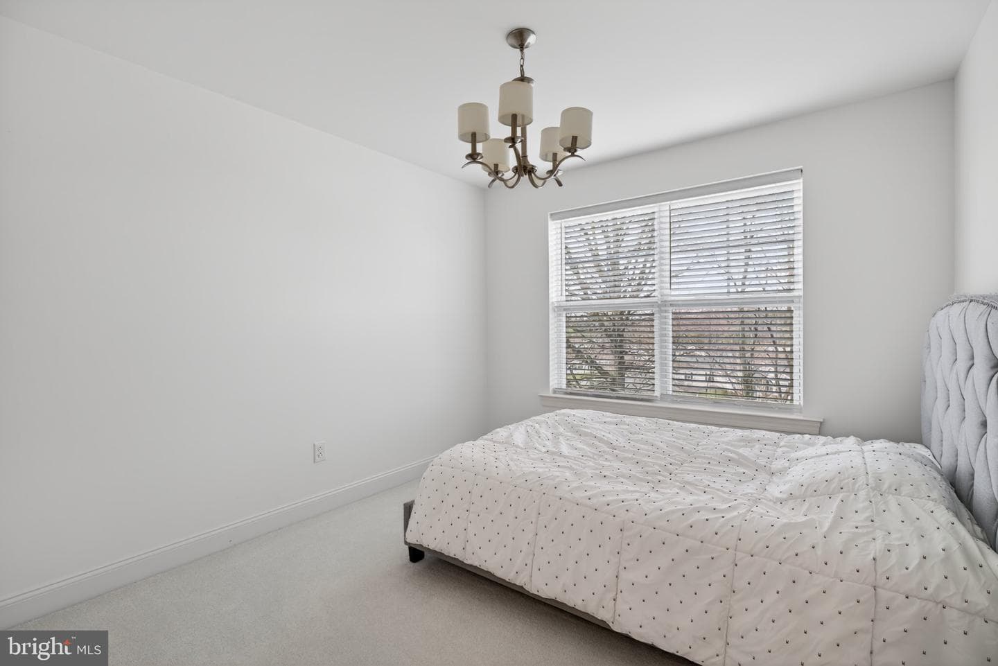 124 Everleigh Drive photo 18