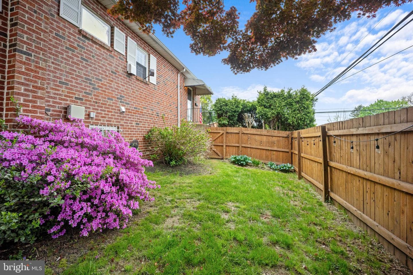 19 Loney Street photo 27