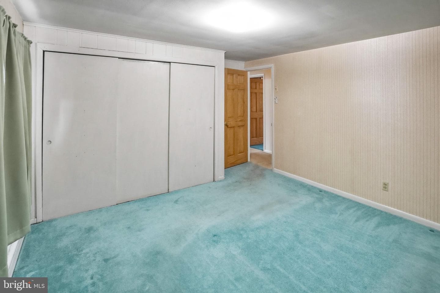 54 Douglas Street photo 23