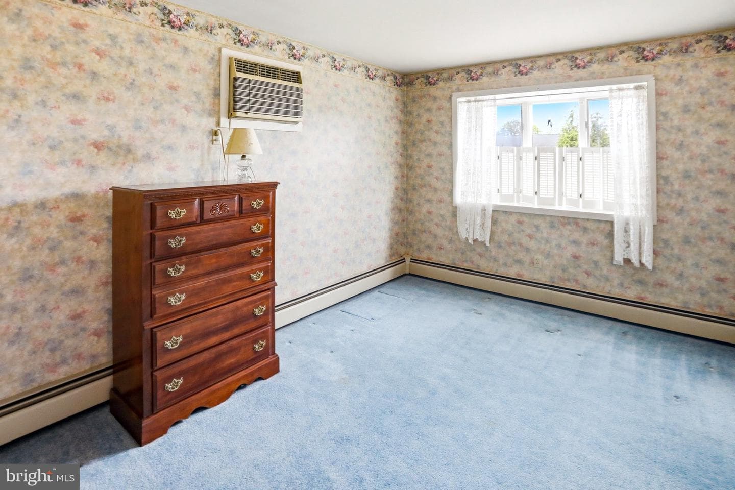 54 Douglas Street photo 29