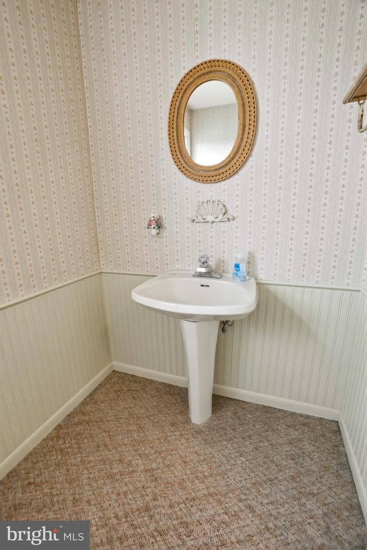 54 Douglas Street photo 32