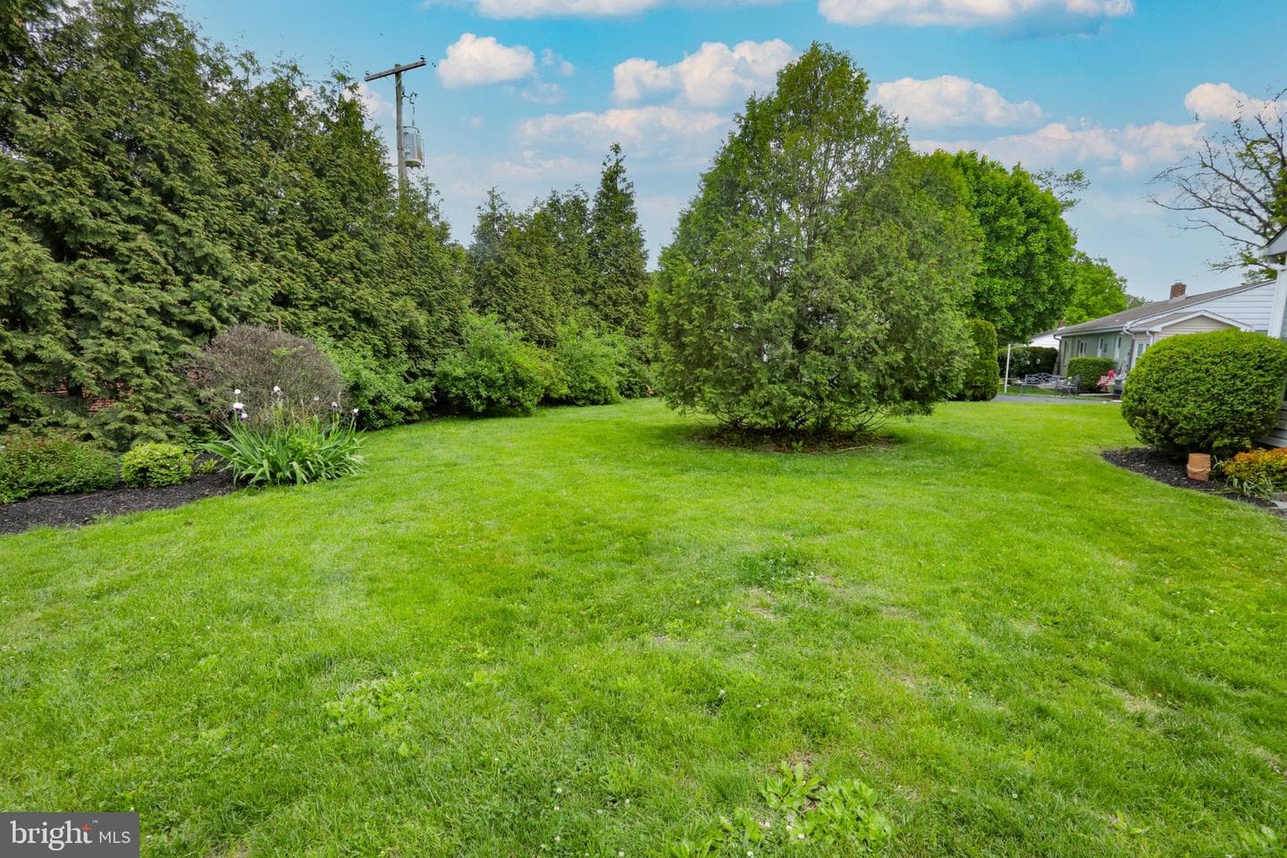 54 Douglas Street photo 6
