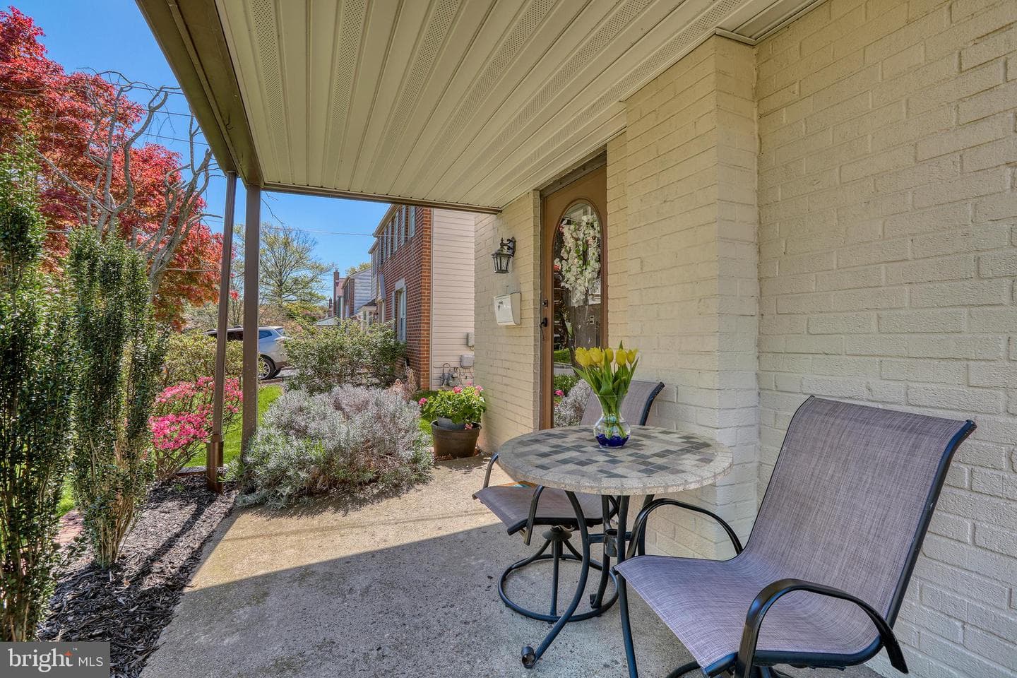 402 Evans Avenue photo 4