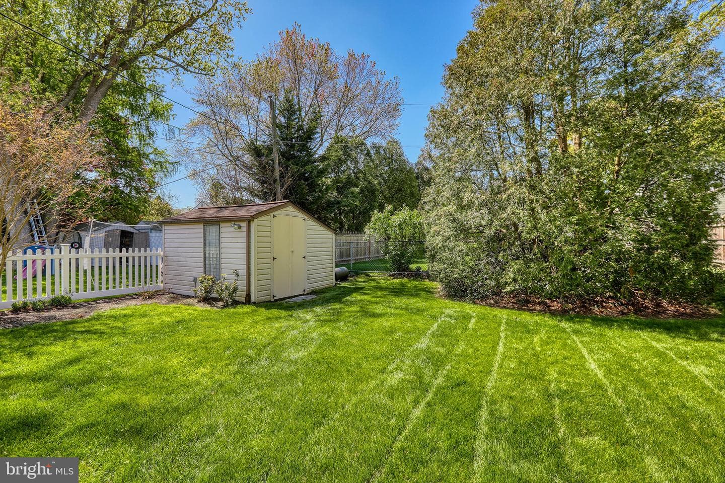 402 Evans Avenue photo 5