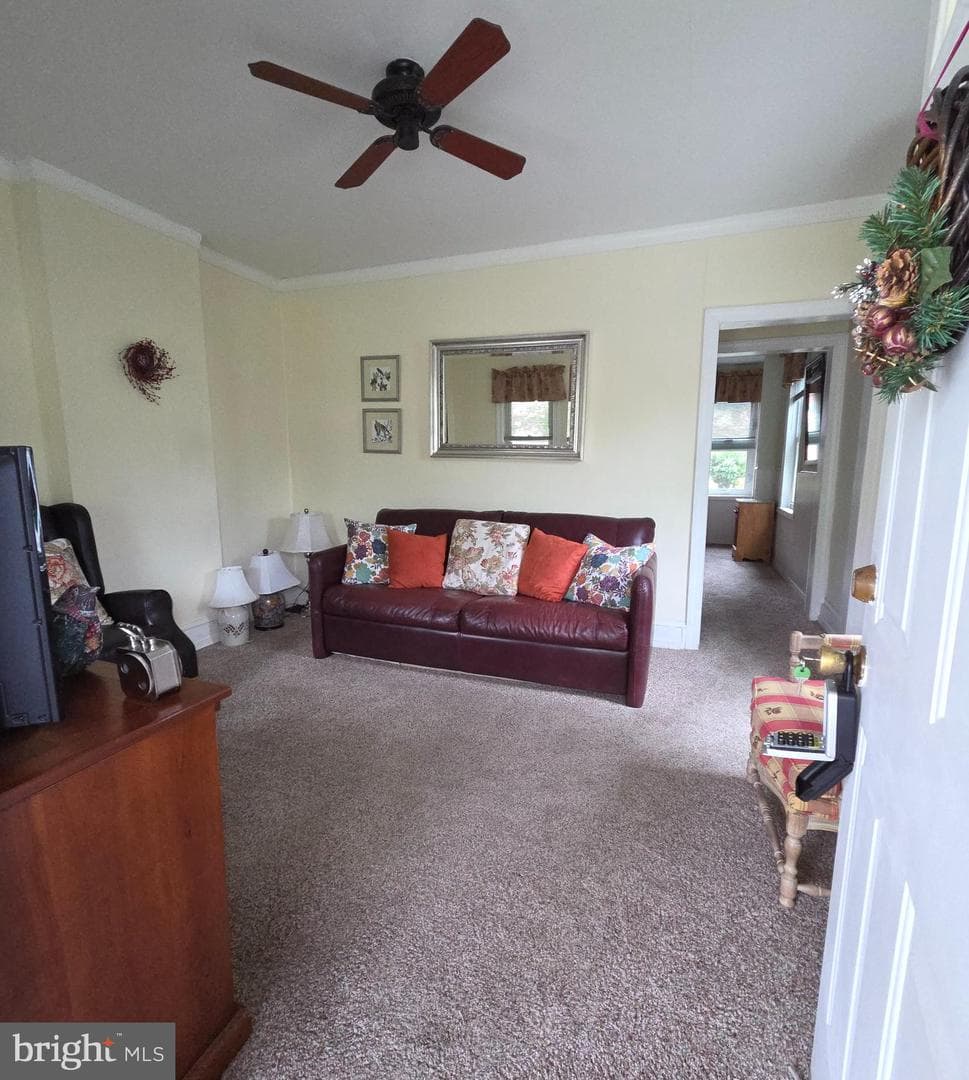 381 Stewart Avenue photo 8