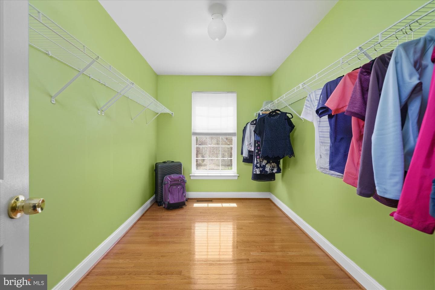 111 Cheswick Drive photo 18