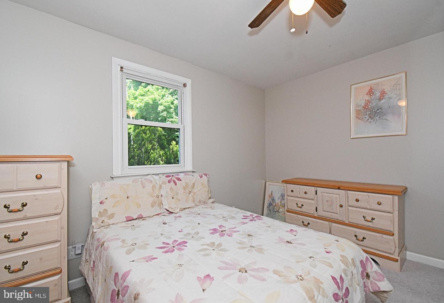 609 Mansfield Road photo 25