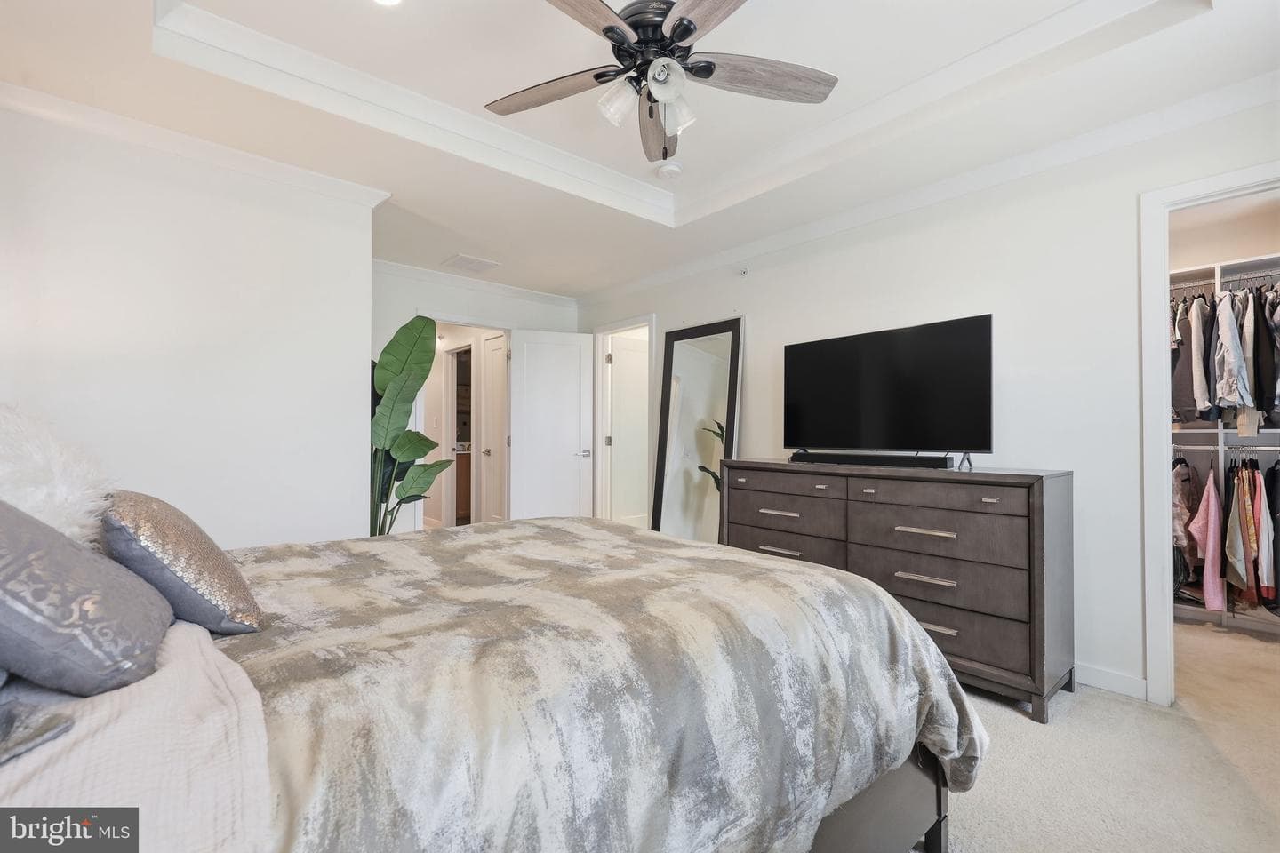 17 Jessop Lane photo 16