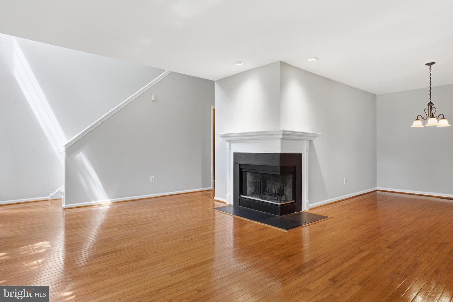 55 Windsor Place photo 14
