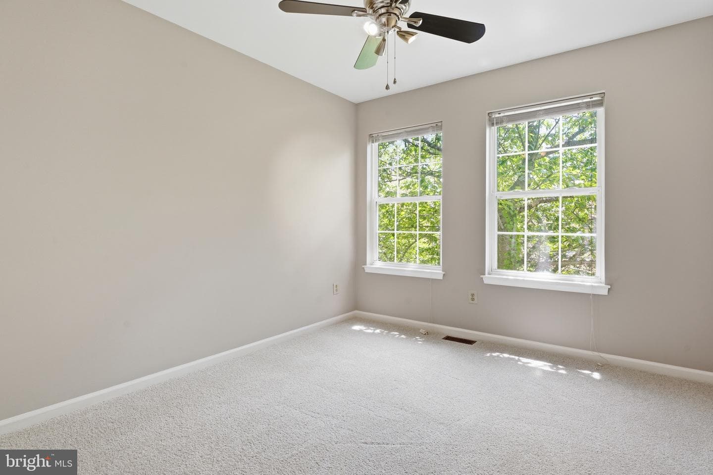 55 Windsor Place photo 38