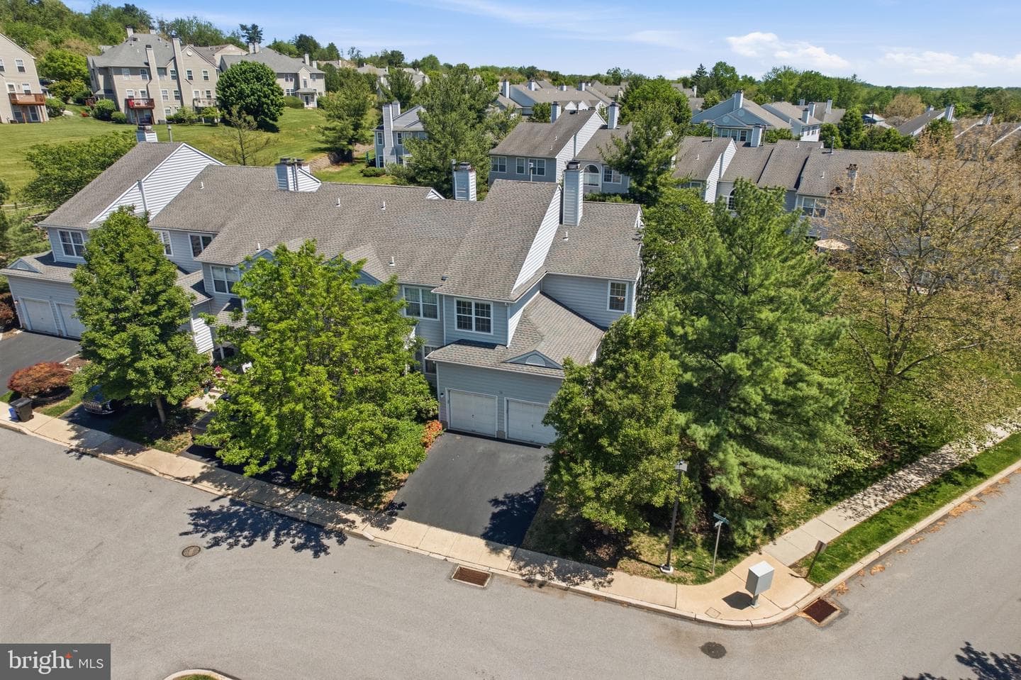 55 Windsor Place photo 8