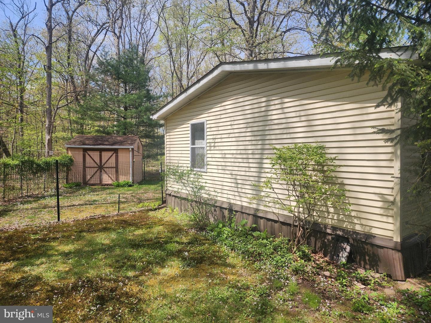 733 Dogwood Drive photo 6