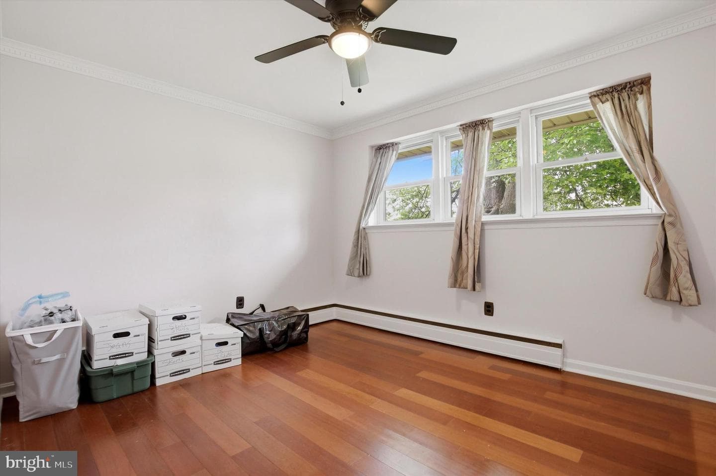 1010 Woodland Avenue photo 19