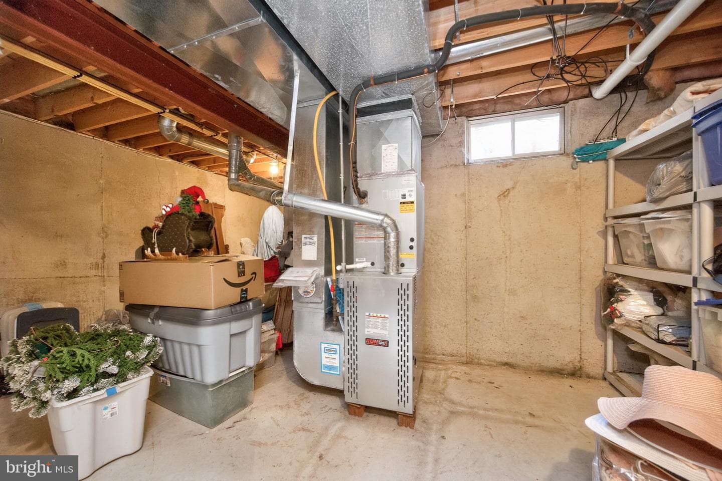 105 William Road photo 49