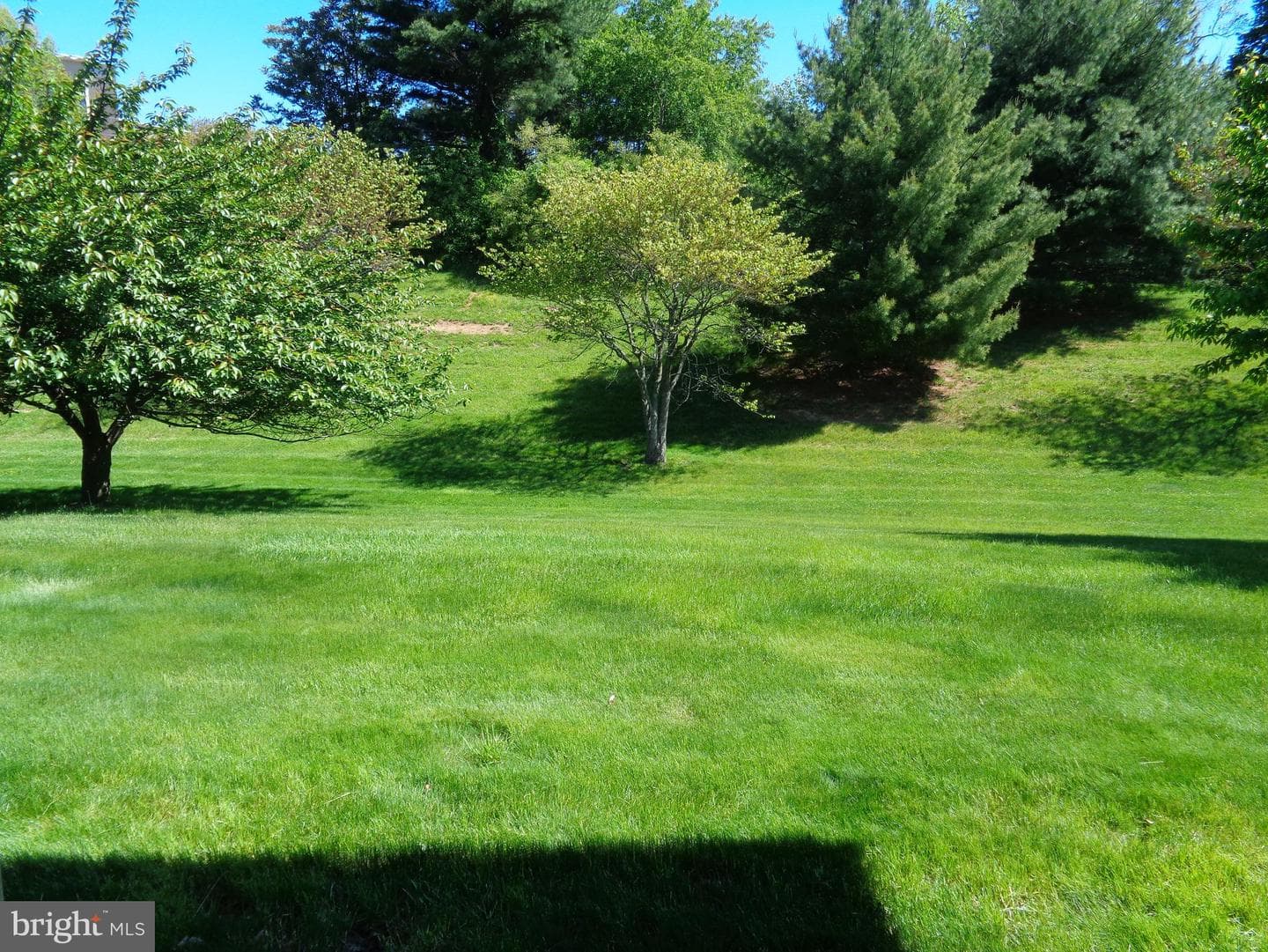 61 Old Cedarbrook Road photo 21