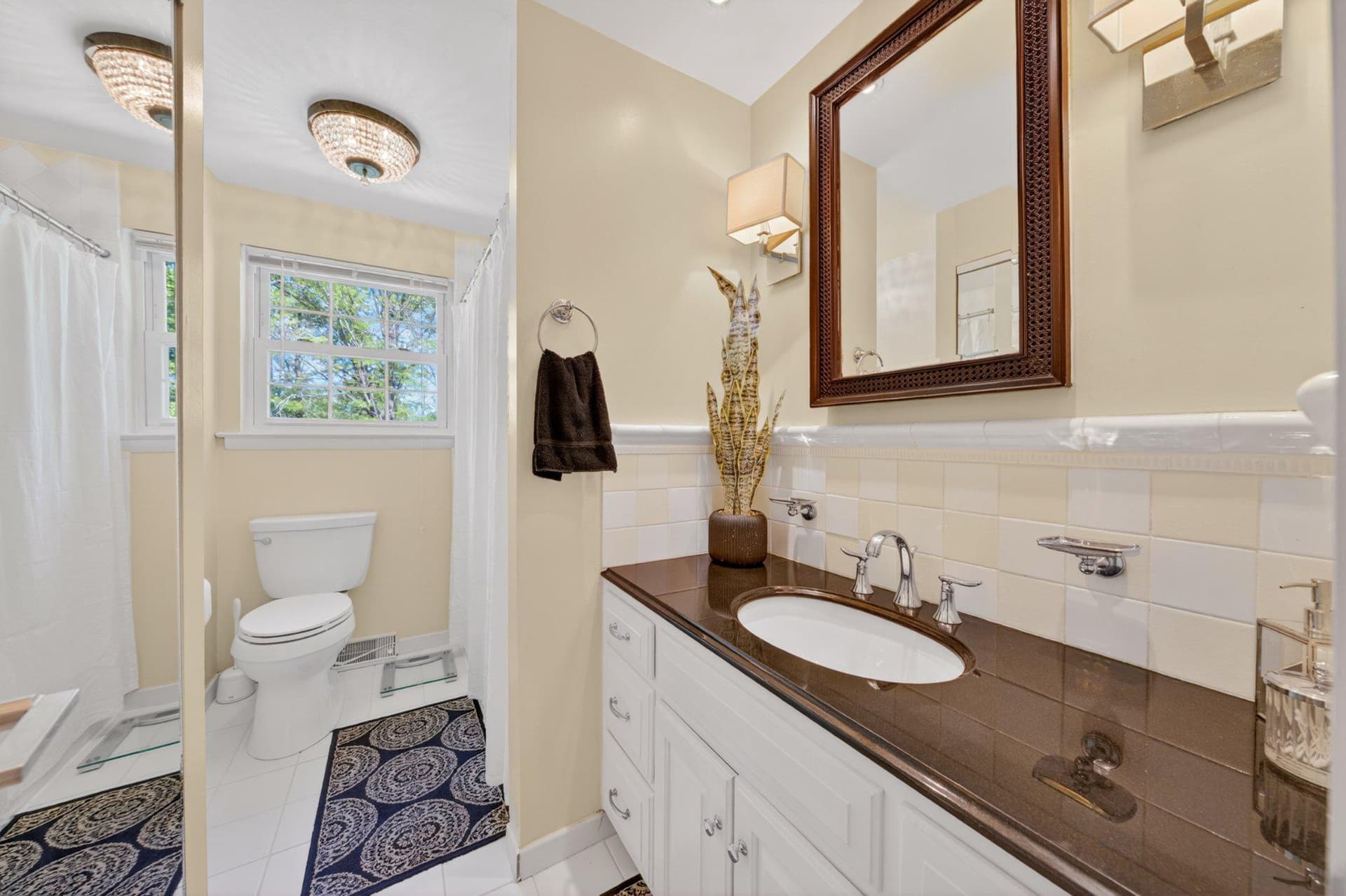556 Grapevine Drive photo 47