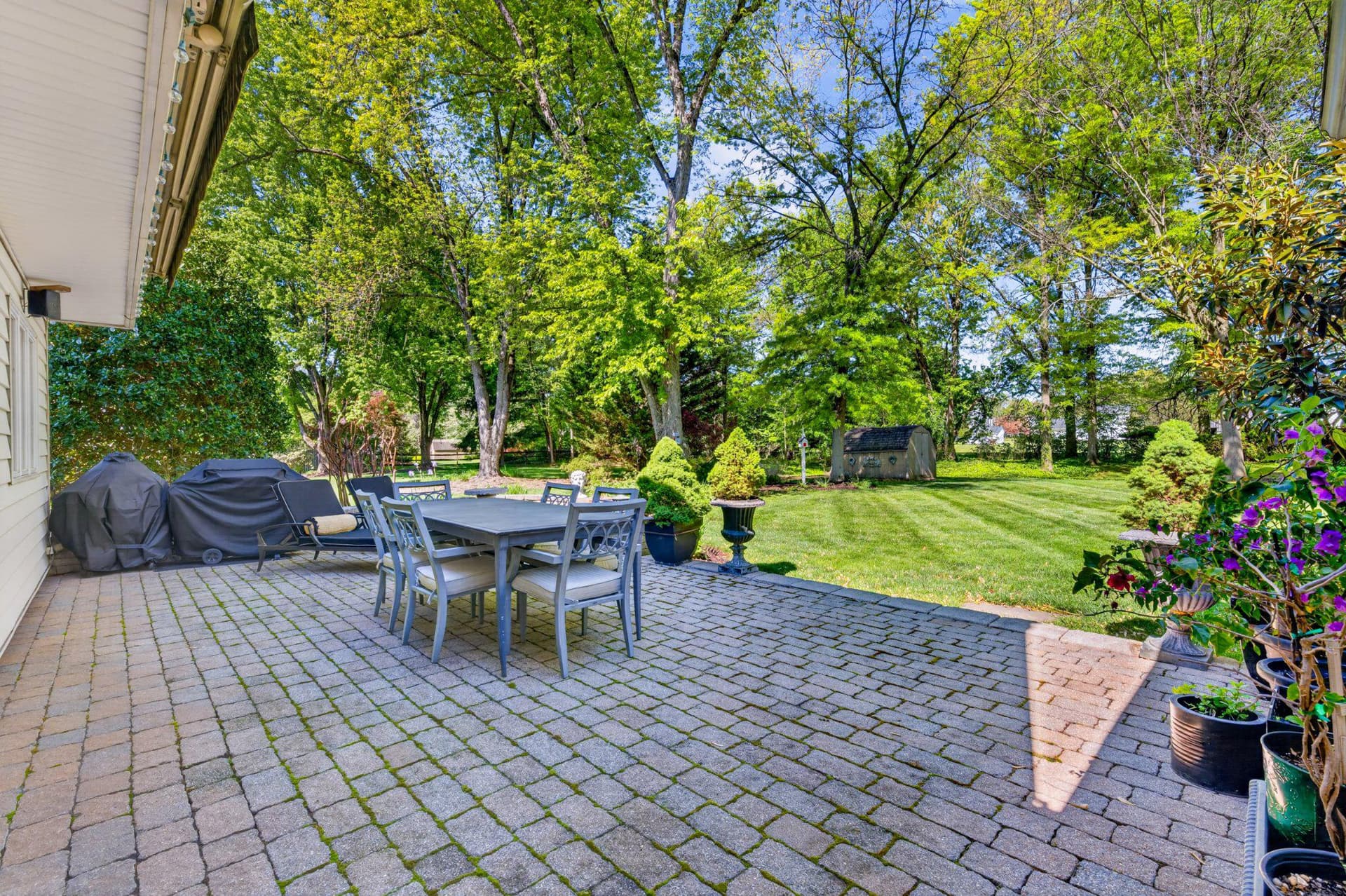 556 Grapevine Drive photo 55