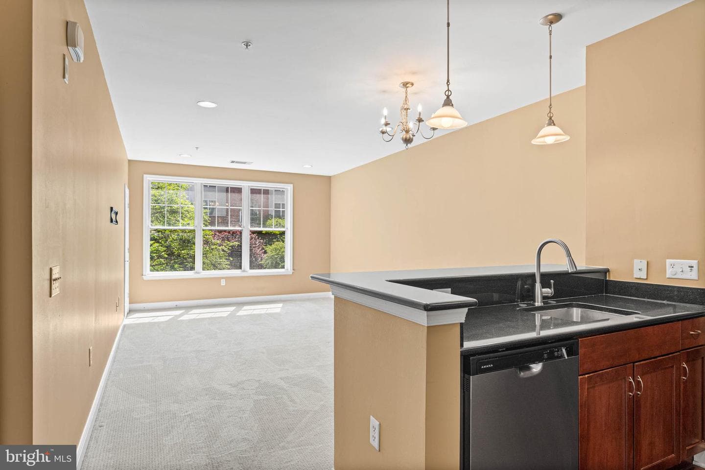 200 W Elm Street #1231 photo 8