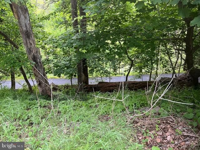 1787 Hendricks Road photo 10