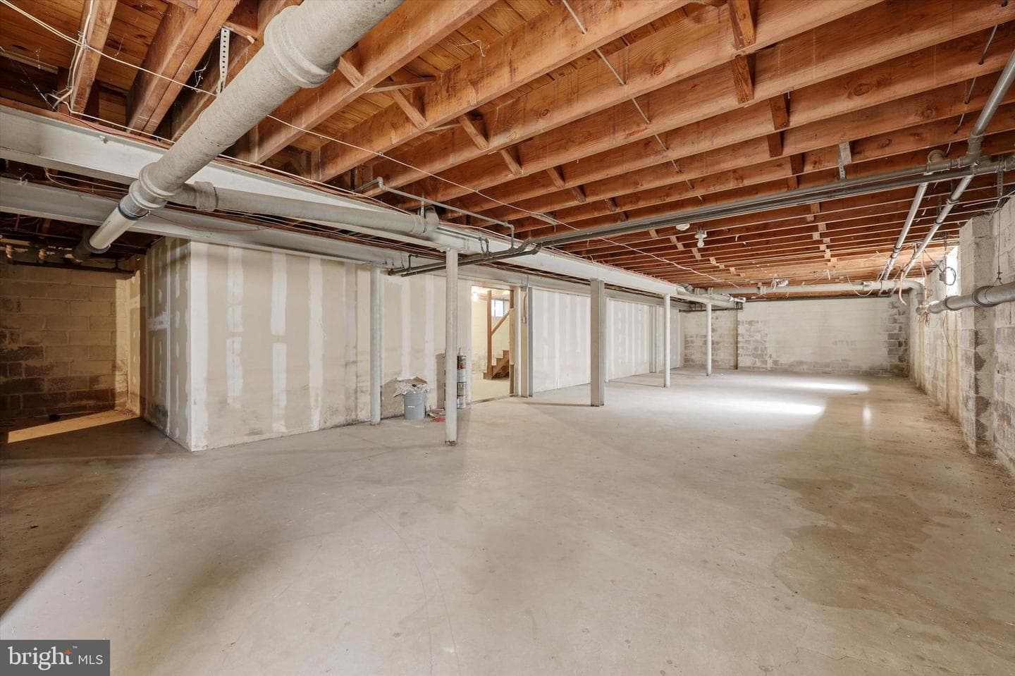 207 Ulmer Avenue photo 3