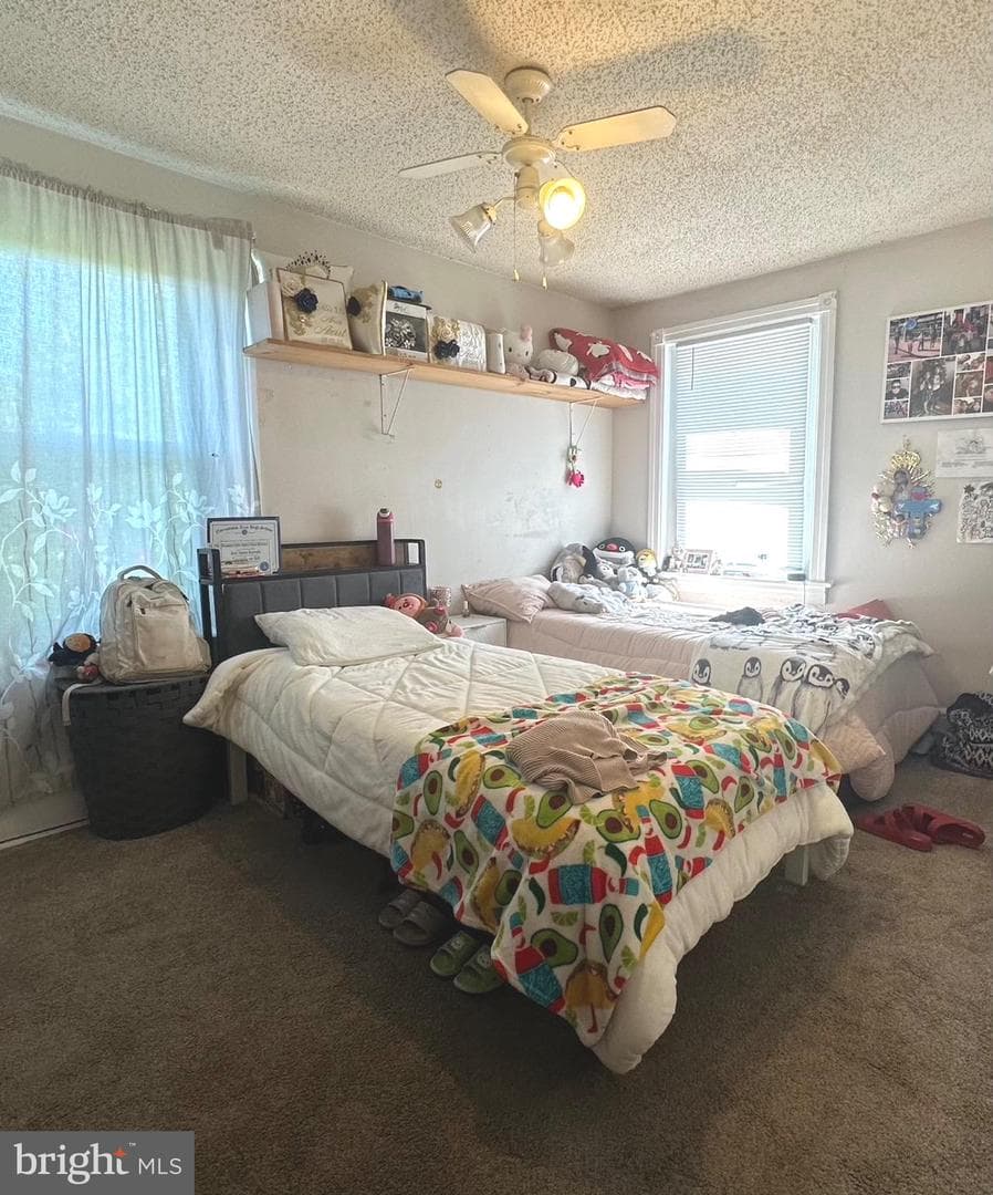 828 High Street photo 12