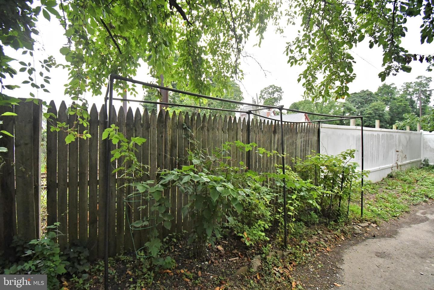 7805 Spring Avenue photo 40