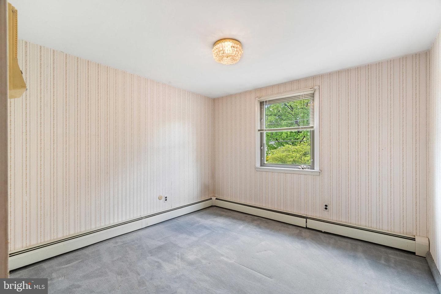 3873 Pine Road photo 47