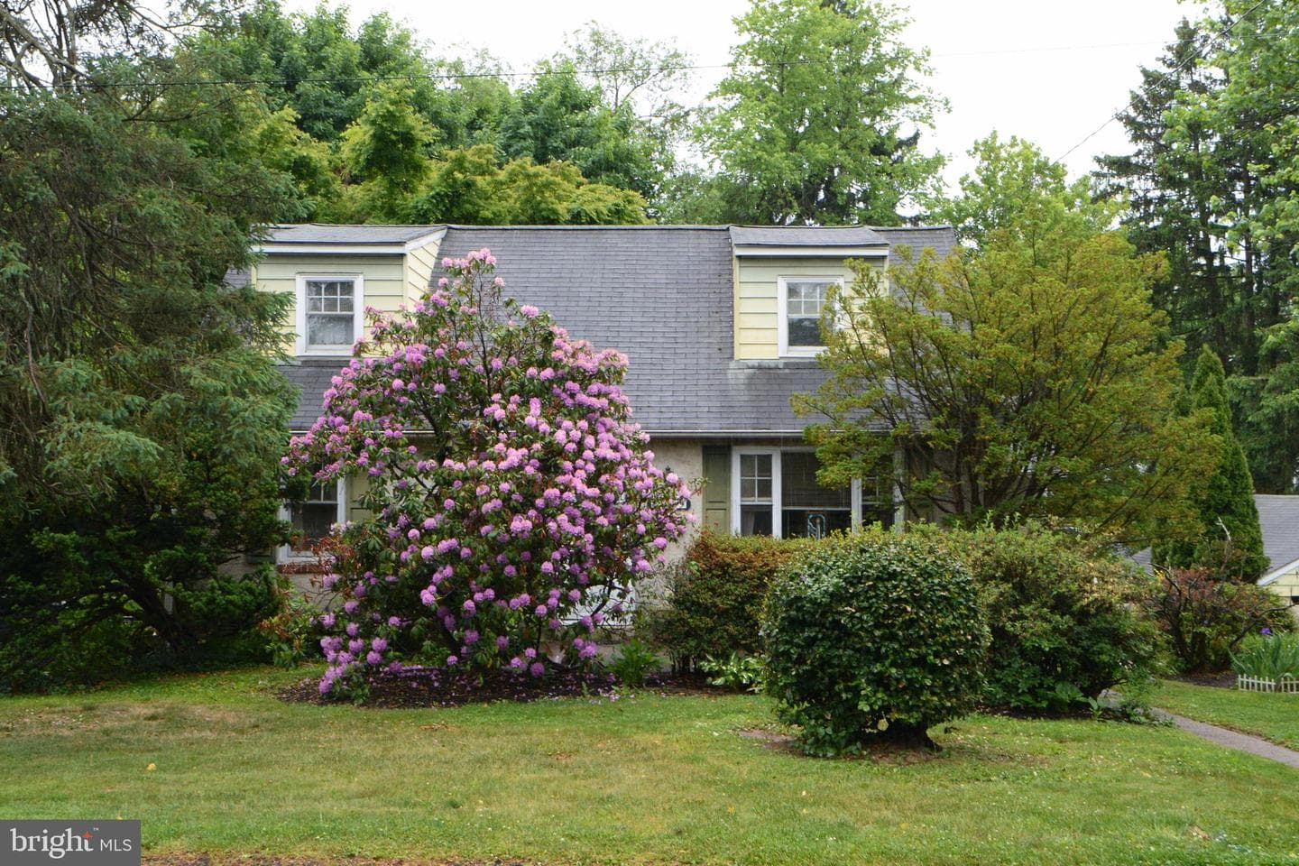 419 Continental Rd