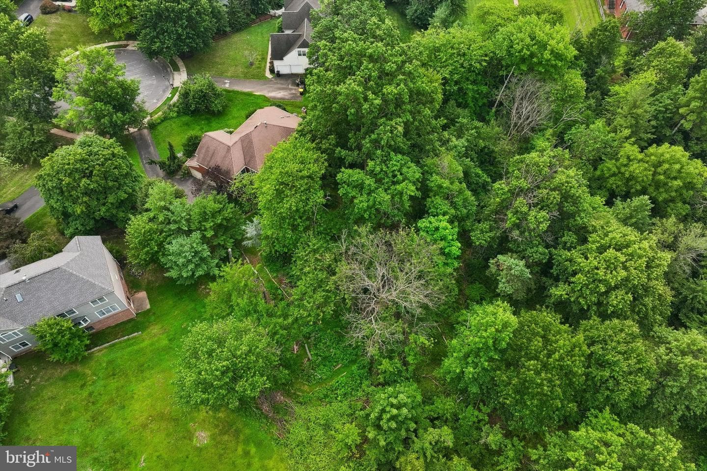 809 Irenic Court photo 45