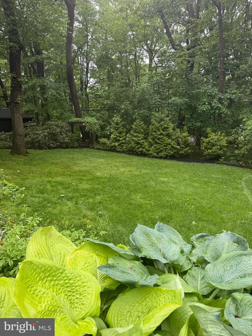 552 Custis Road photo 27