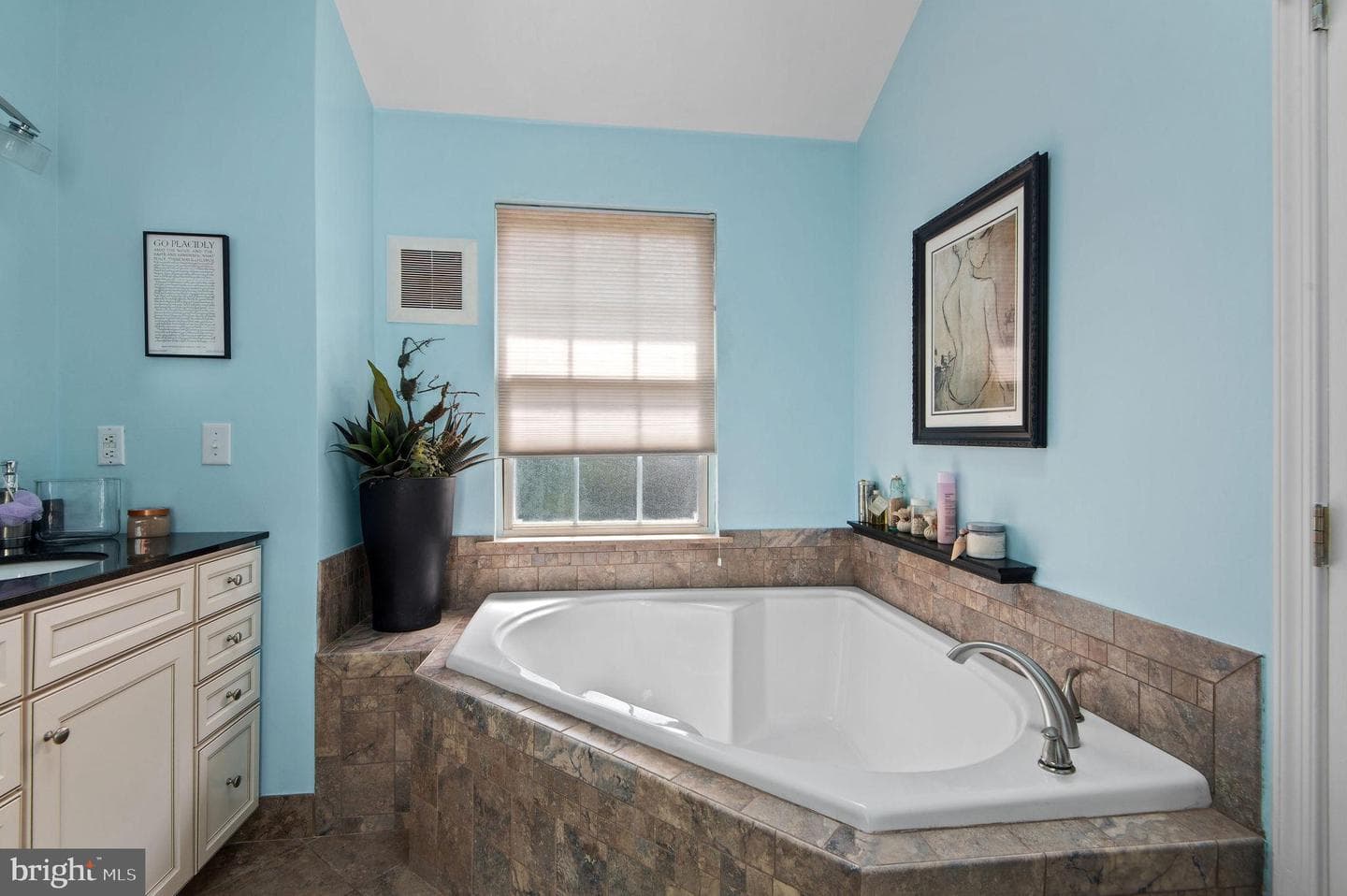 123 Shoal Creek Drive photo 30