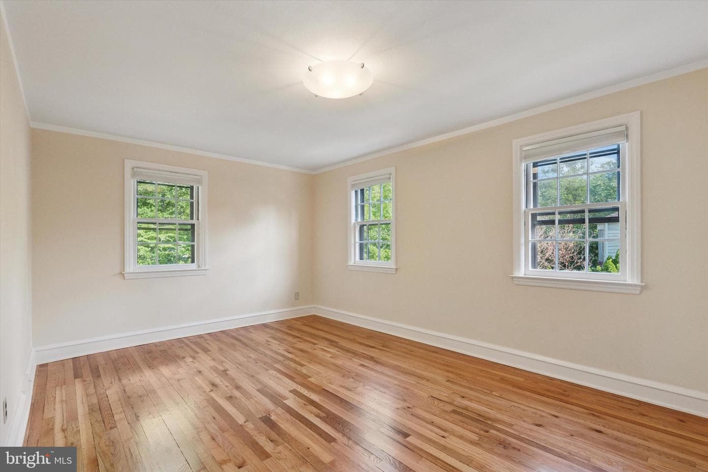 407 Shortridge Drive photo 21